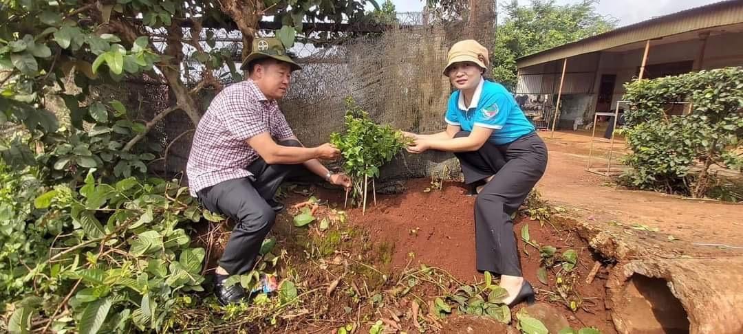 Huyện Đắk Song, Đắk Nông: Ra mắt mô hình “nhà sạch - đường đẹp” năm 2024