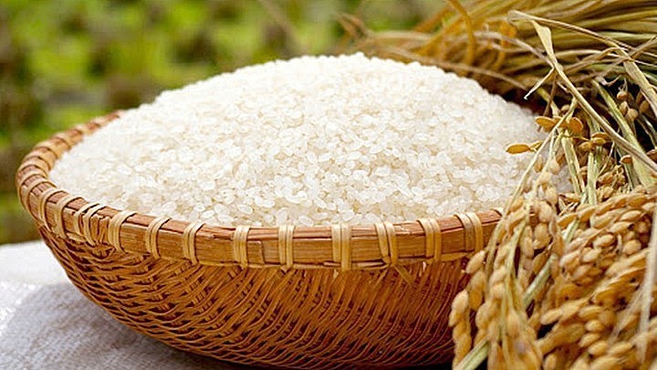 Giá lúa gạo hôm nay 22/7: "Dậm chân tại chỗ", xuất khẩu neo ở mức thấp