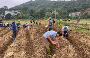Thủ tướng chỉ đạo đẩy mạnh khôi phục sản xuất nông nghiệp sau bão số 3