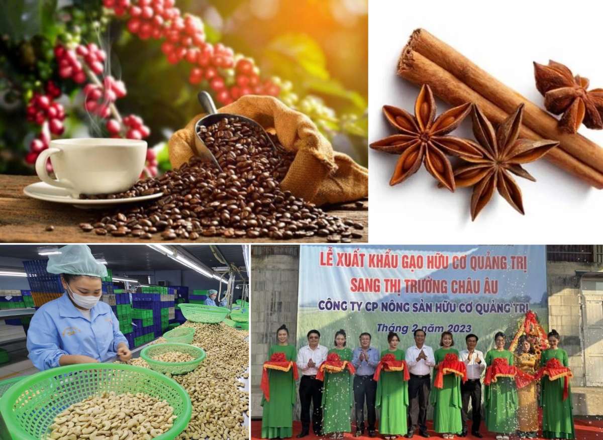 Việt Nam có nhiều tiềm năng xuất khẩu sản phẩm hữu cơ sang thị trường châu Âu - Ảnh minh họa.