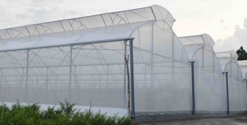 Hải Dương: "Tiếp sức" cho nông nghiệp công nghệ cao