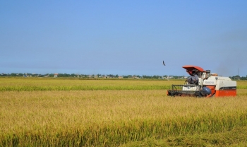 Nông sản Quảng Trị: Nâng tầm đặc sản, hướng đến phát triển bền vững