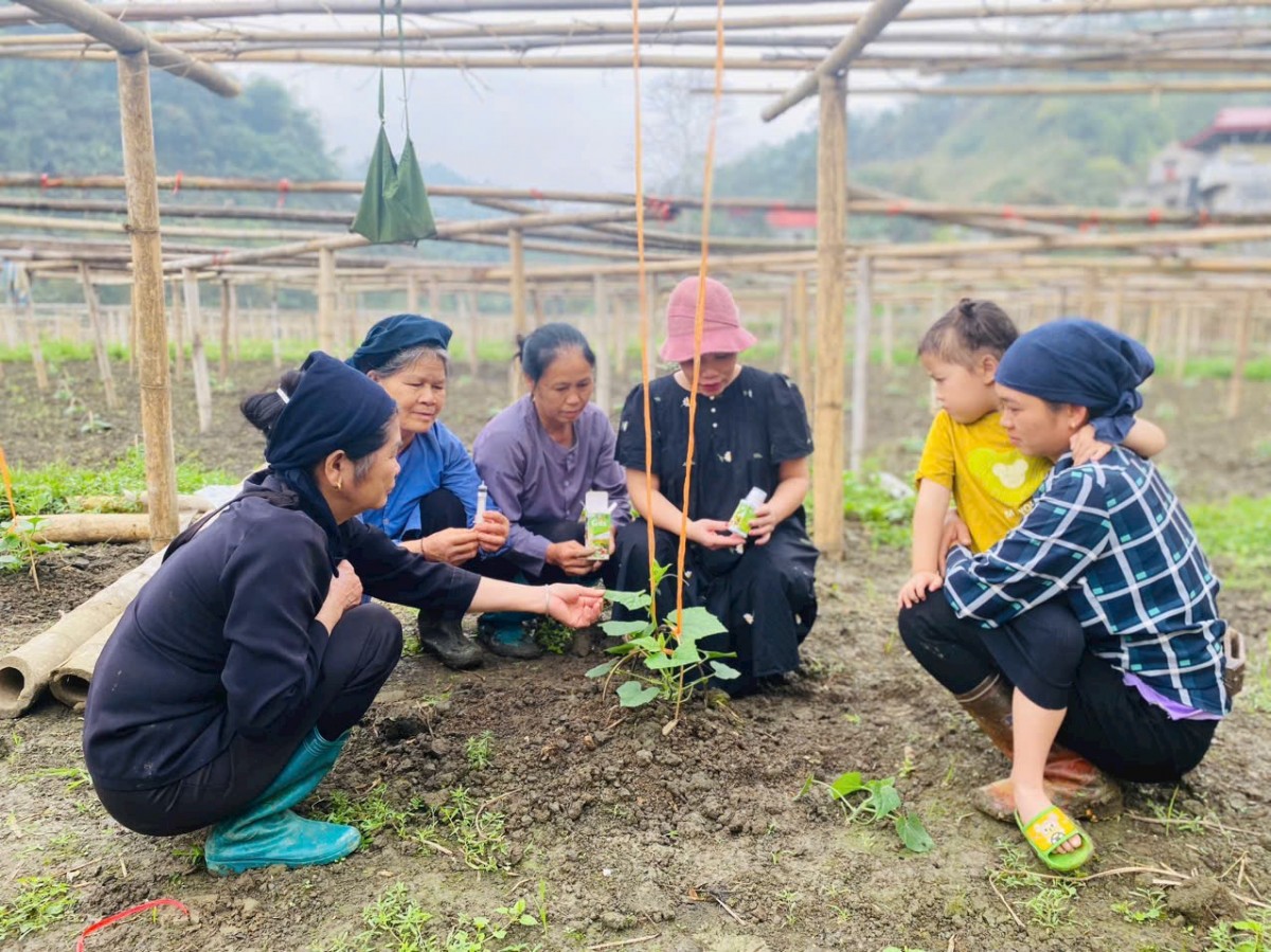 Giúp nông dân sản xuất, kinh doanh nông sản an toàn