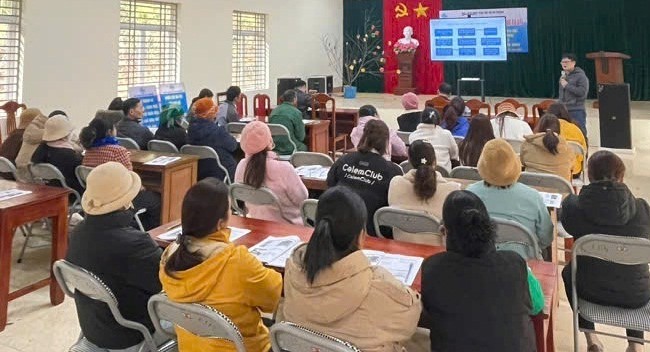 Giúp nông dân sản xuất, kinh doanh nông sản an toàn