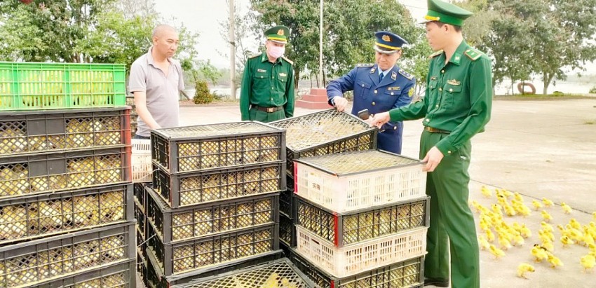 Lái xe Trần Văn Kỳ và số gia cầm giống, trứng vịt lộn không rõ nguồn gốc.
