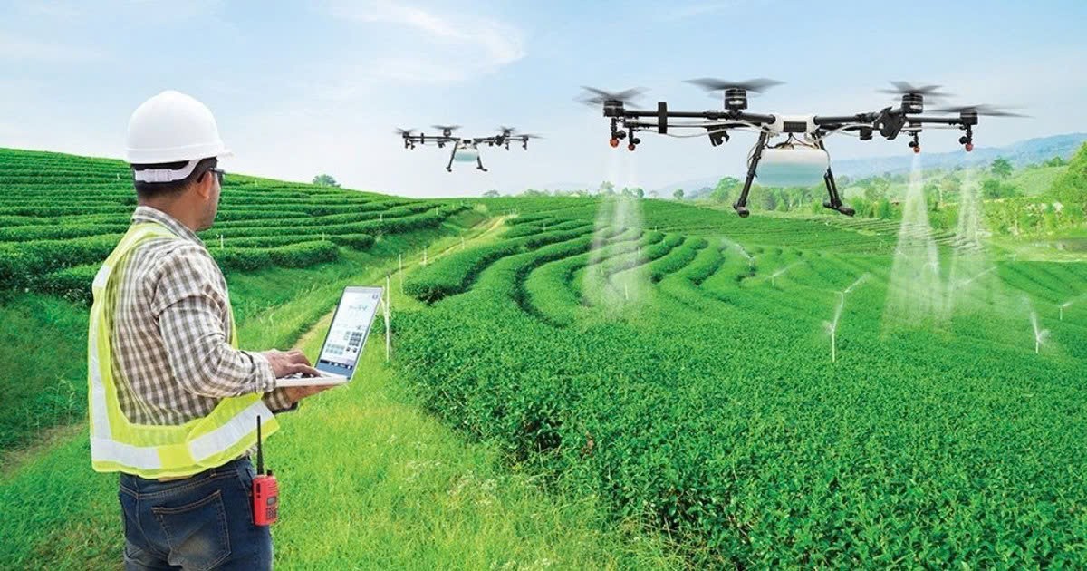 Gia Lai: Ứng dụng nông nghiệp công nghệ cao, nâng tầm giá trị nông sản