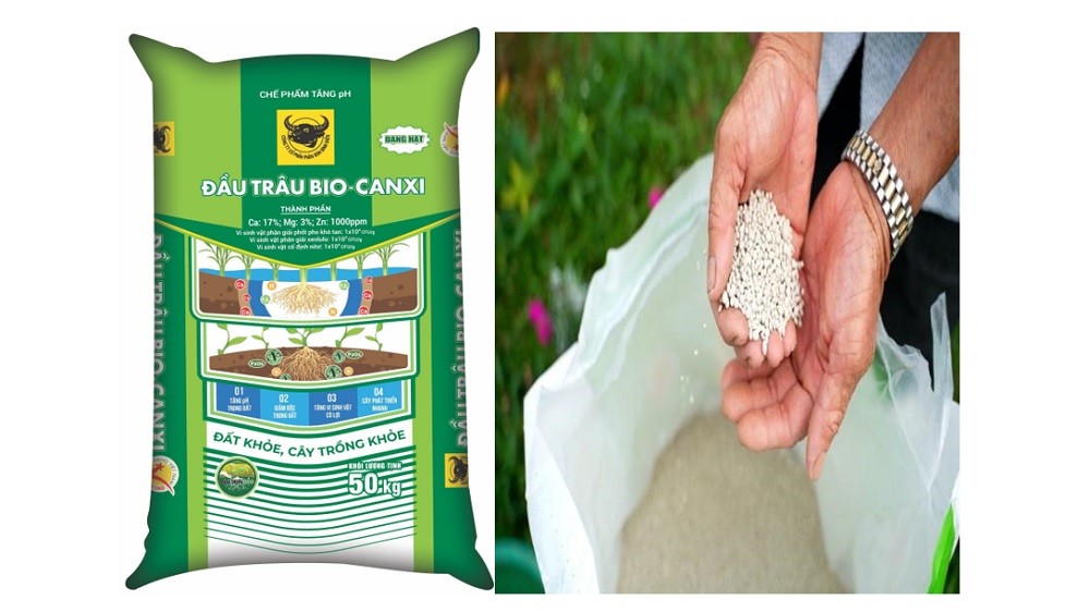 Trả dinh dưỡng lại cho đất lúa