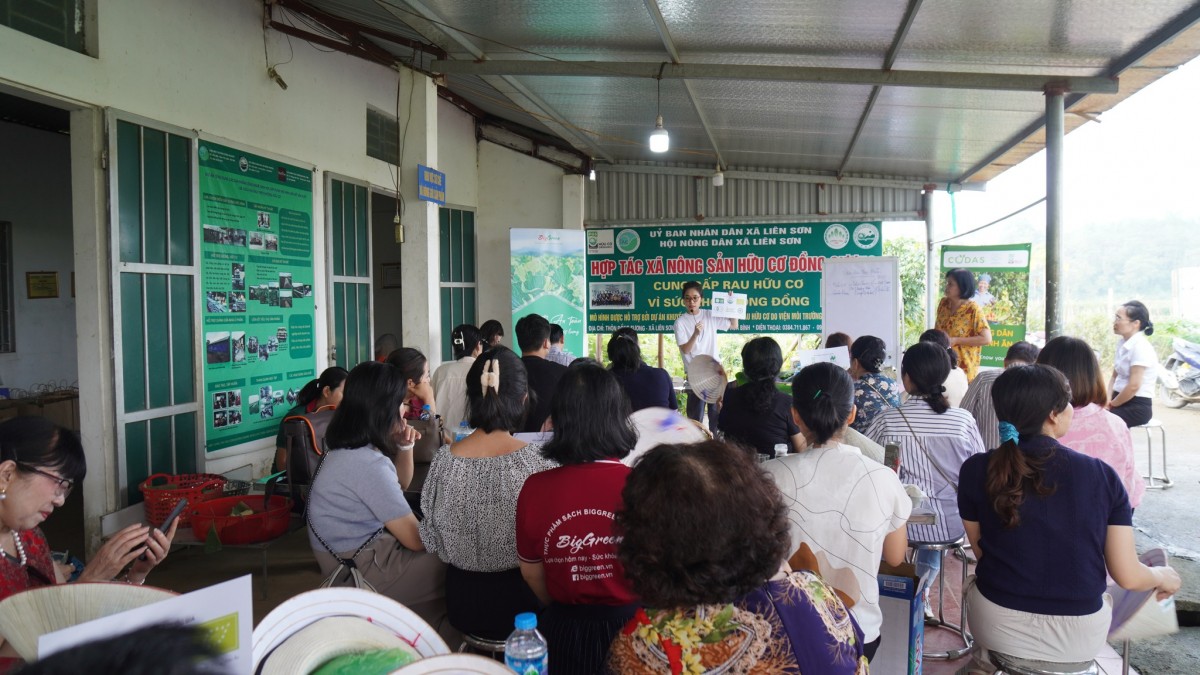Th.S Đặng Thị Bích Hường – Phó Chủ tịch, Tổng thư ký Hiệp hội Nông nghiệp Hữu cơ Việt Nam chia sẻ về cách nhận diện sản phẩm hữu cơ, logo của các chứng nhận hữu cơ trên thế giới.