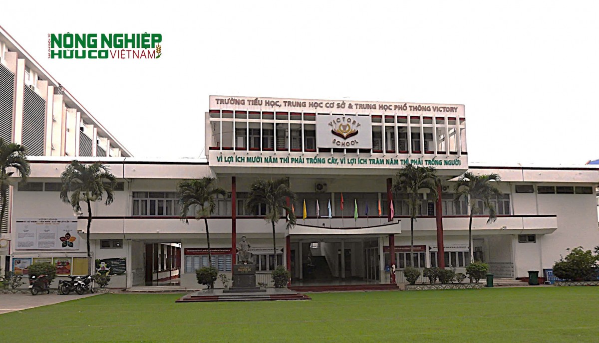 Victory School – Ươm mầm tri thức, khơi nguồn tương lai