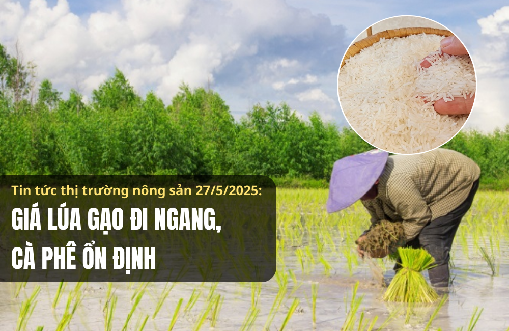 Tin tức thị trường nông sản 27/5/2025: