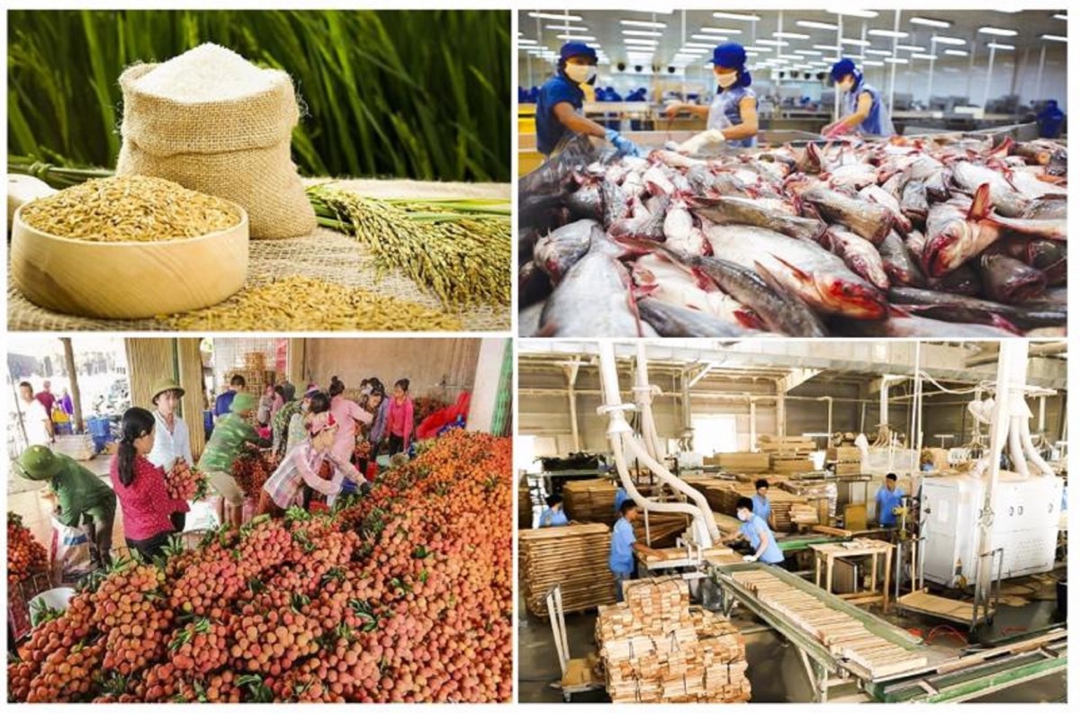 Kim ngạch xuất khẩu nông, lâm, thủy sản  đạt 28,04 tỷ USD, tăng 15,1%