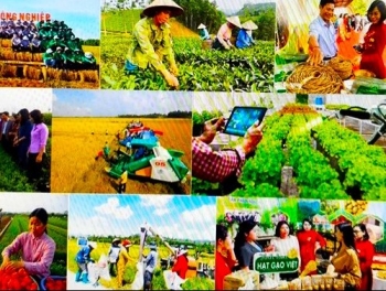 Kiện toàn tổ chức và hoạt động của Quỹ Hỗ trợ nông dân Trung ương