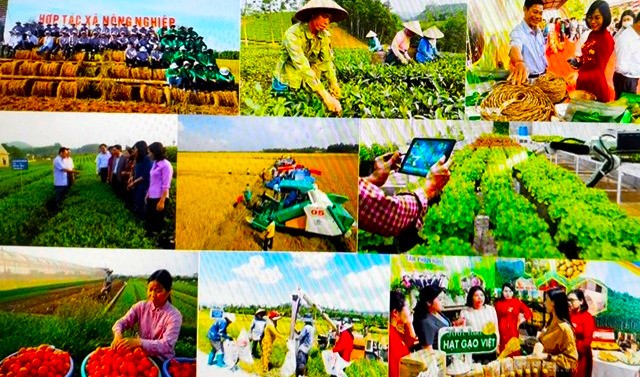 Kiện toàn tổ chức và hoạt động của Quỹ Hỗ trợ nông dân Trung ương
