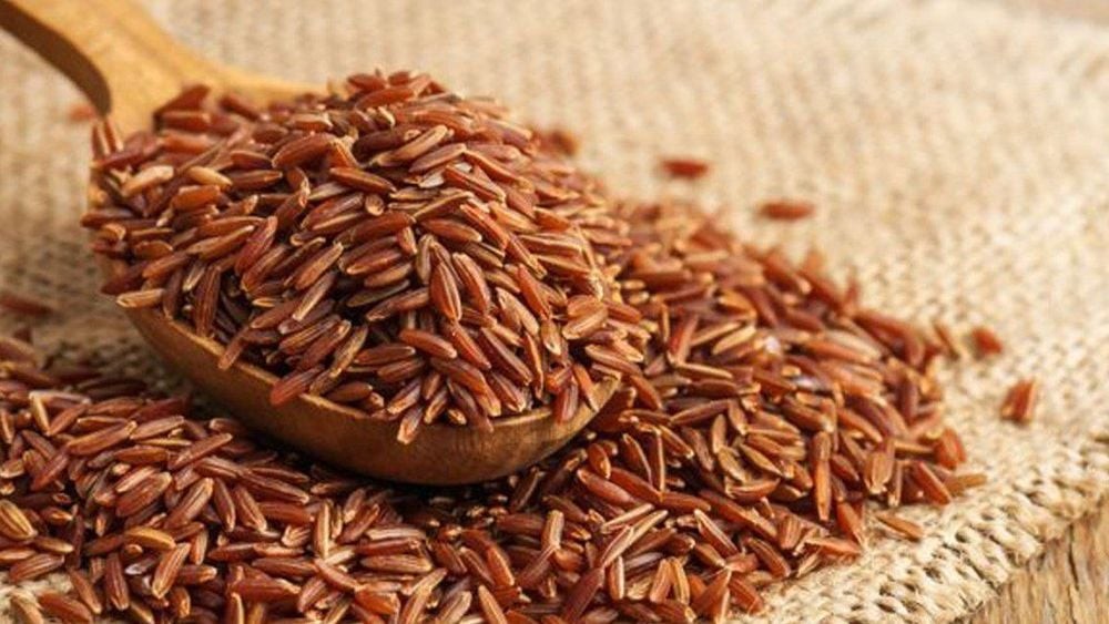 Thực phẩm sạch - Nền tảng vững chắc của sức khỏe