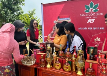 Kon Tum: Mở phiên chợ Sâm và đặc sản địa phương, thêm cơ hội cho người trồng dược liệu