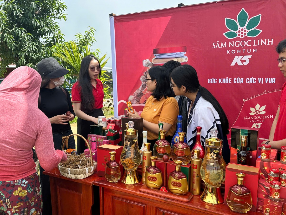 Kon Tum: Mở phiên chợ Sâm và đặc sản địa phương, thêm cơ hội cho người trồng dược liệu