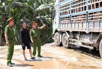 Chấn chỉnh việc quản lý hoạt động giết mổ, quy trình kiểm soát giết mổ động vật