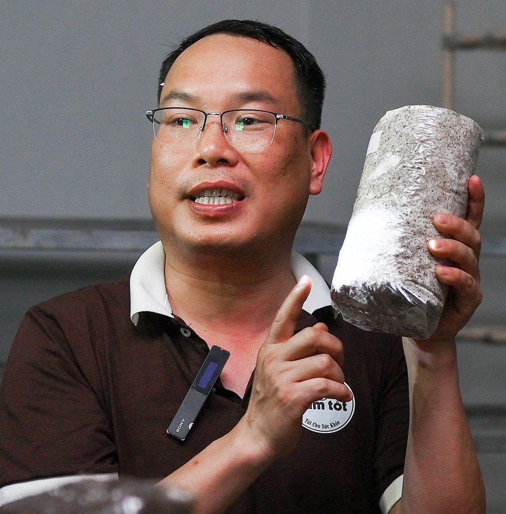 [Longform] Đưa nấm hữu cơ đi những con đường tử tế