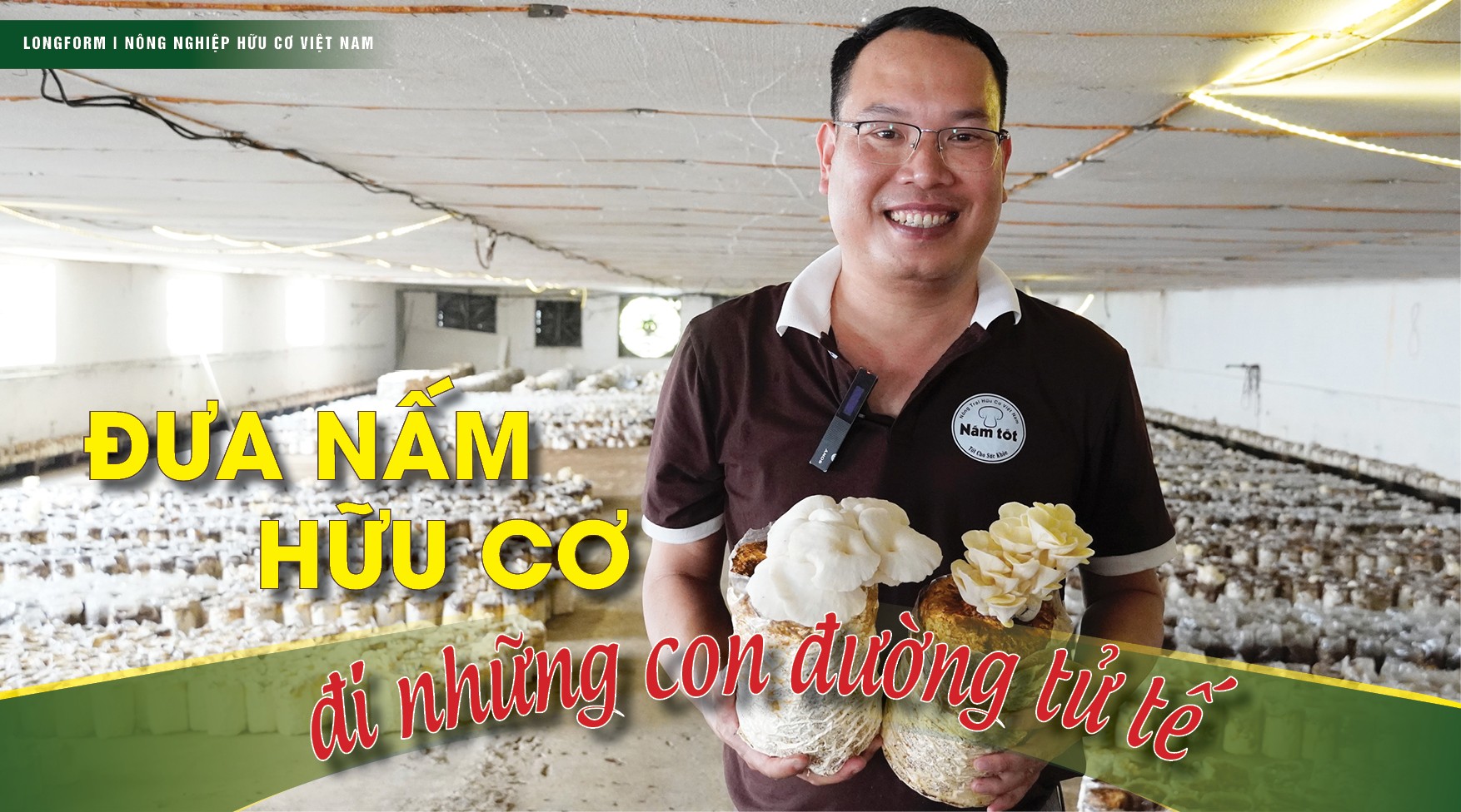 [Longform] Đưa nấm hữu cơ đi những con đường tử tế