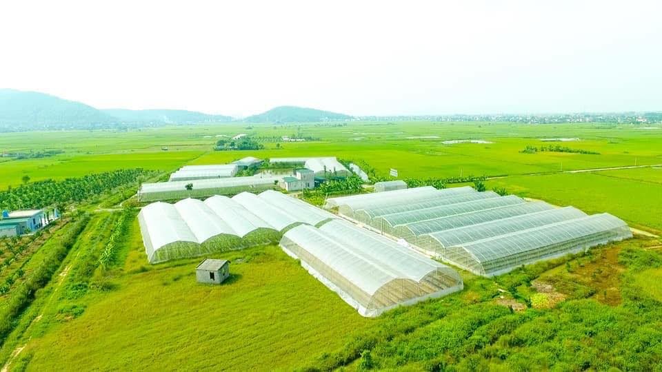 Bài cuối: 