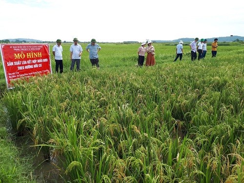 Bài cuối: 
