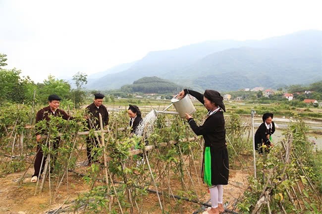 Vĩnh Phúc: Đẩy mạnh đa dạng hóa sinh kế, phát triển mô hình giảm nghèo bền vững