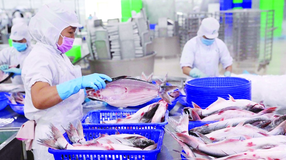 Tư tưởng Hồ Chí Minh là kim chỉ nam về phát triển nông nghiệp, nông thôn và nông dân Việt Nam