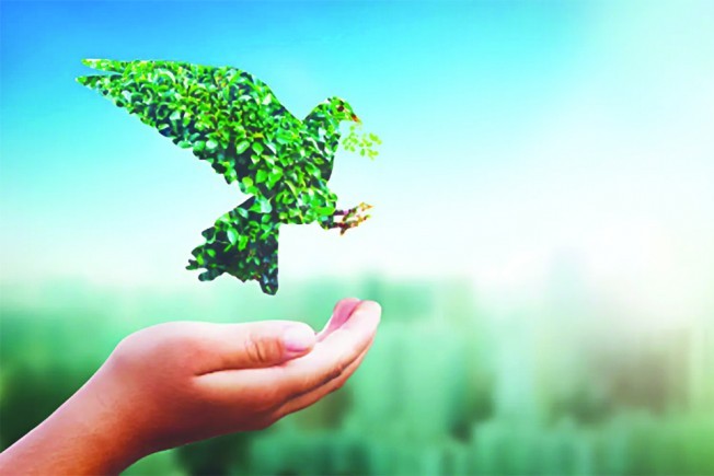 Báo chí lan tỏa Nông nghiệp Hữu cơ: Kiến tạo nhận thức, thúc đẩy hành động
