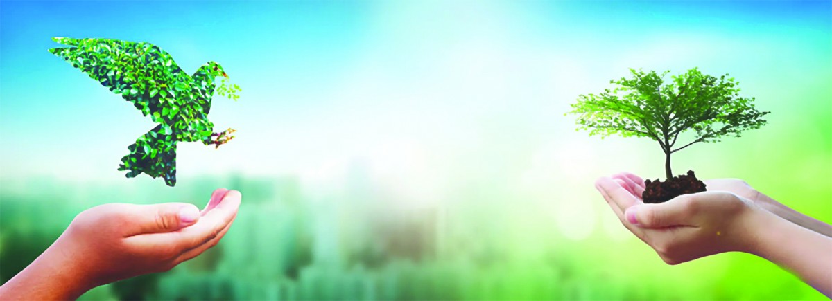 Báo chí lan tỏa Nông nghiệp Hữu cơ: Kiến tạo nhận thức, thúc đẩy hành động