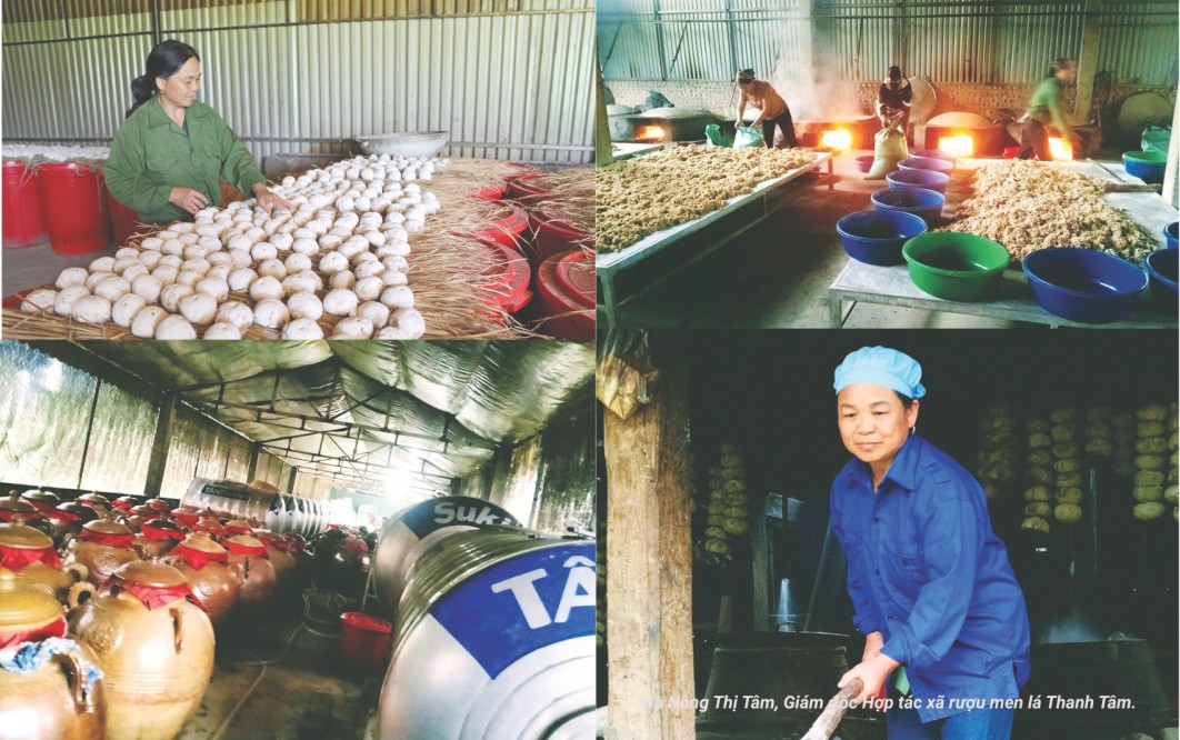 Ước mơ đưa thương hiệu rượu men lá vươn xa