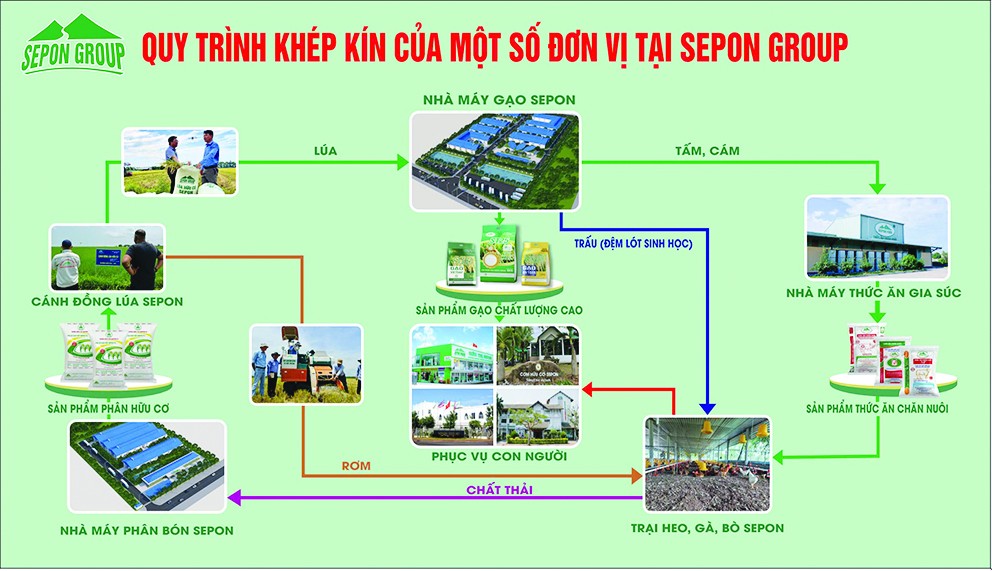 Nét độc đáo trong sản xuất nông nghiệp hữu cơ tại tổng công ty thương mại Quảng Trị