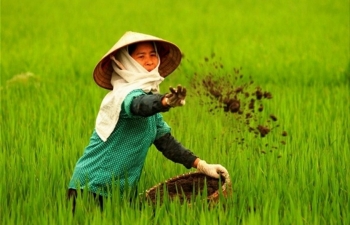 Đẩy mạnh sử dụng phân bón hữu cơ và xây dựng tiêu chuẩn kỹ thuật hài hòa