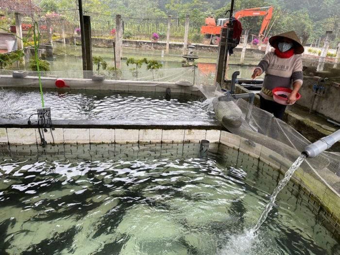 Lâm Đồng: Đột phá trong phát triển ngành thủy sản giai đoạn 2021-2025