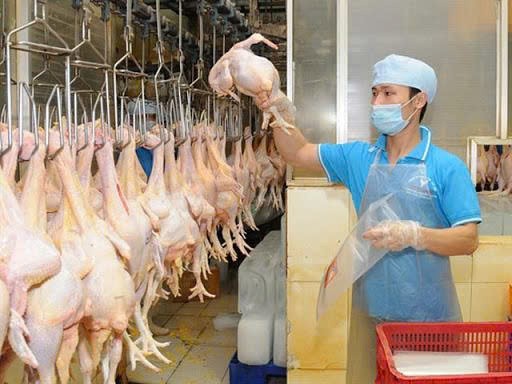 Đồng Nai xử phạt công ty hoạt động giết mổ gia súc, gia cầm không có giấy phép môi trường