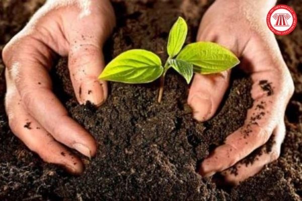 Nghiên cứu và phát triển giống cây trồng yếu tố then chốt cho năng suất, chất lượng