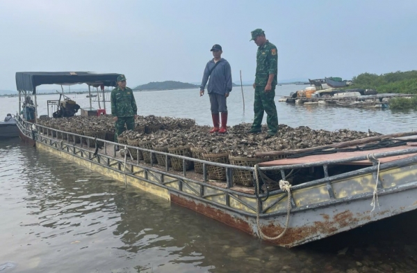 Quảng Ninh: Bắt bè vận chuyển trái phép 4 tấn hàu từ Trung Quốc về Việt Nam