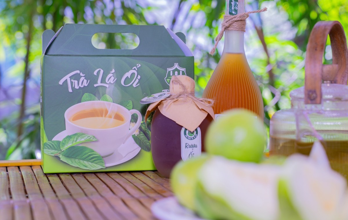 Hành trình từ trái ổi sạch đến du lịch nông nghiệp bền vững