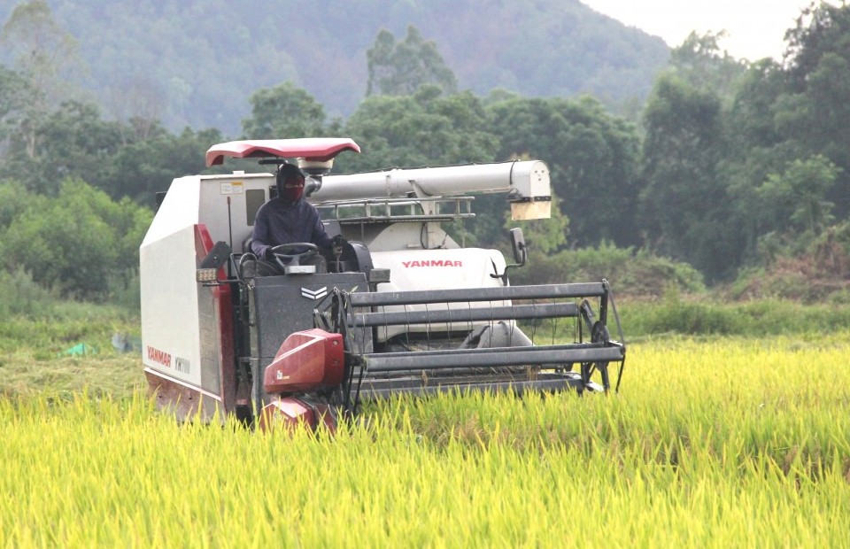 Nghệ An chủ động ứng phó với bão Wipha, chủ động thu hoạch sản phẩm nông nghiệp
