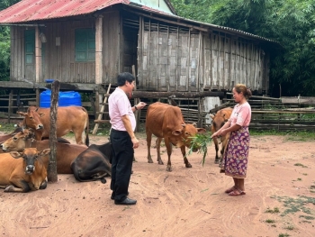 Quảng Trị: Gần 6 tỷ đồng hỗ trợ bà con DTTS ma coong phát triển kinh tế