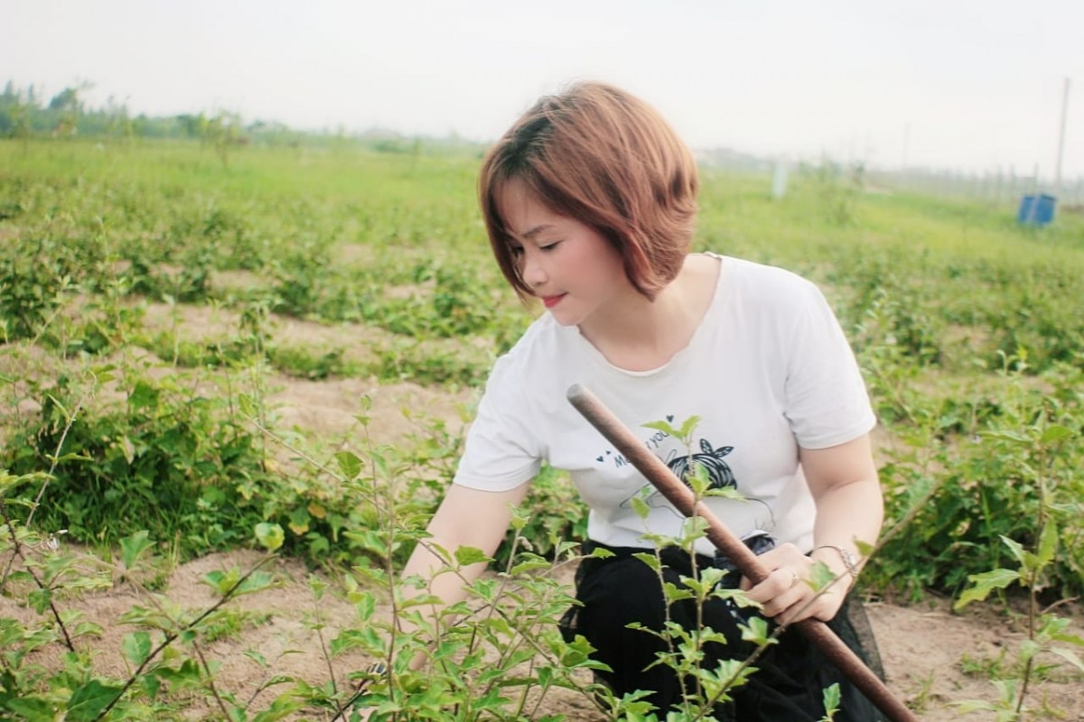 Nữ “thuyền trưởng” kiên trì đi theo con đường sản xuất nông nghiệp bền vững
