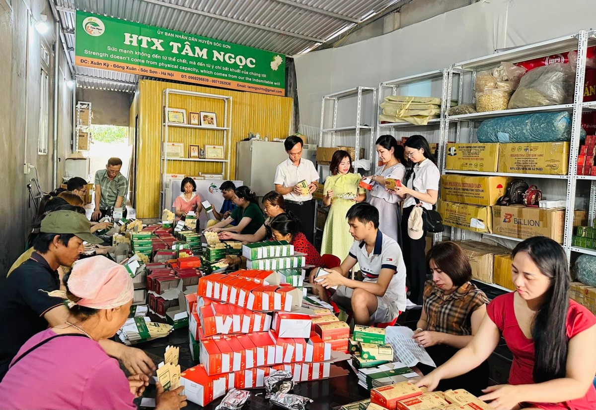 HTX Tâm Ngọc là mái nhà chung của gần 50 người khuyết tật
