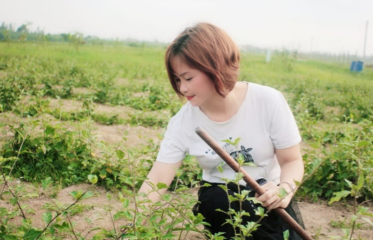 Nữ “thuyền trưởng” kiên trì đi theo con đường sản xuất nông nghiệp bền vững