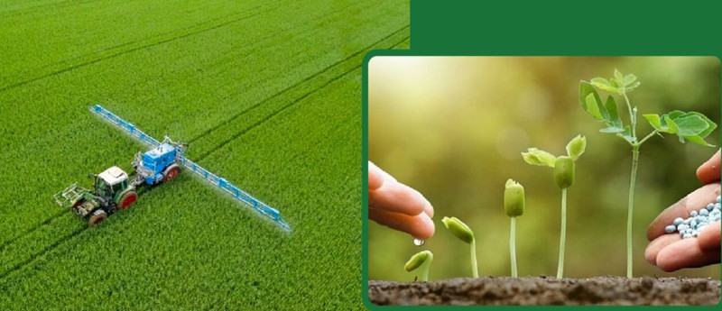 Nông nghiệp hữu cơ qua thời "lẻ bóng bơ vơ" một mình-Bài 1:Triết lý chuyển mình và “mệnh lệnh” từ trái tim