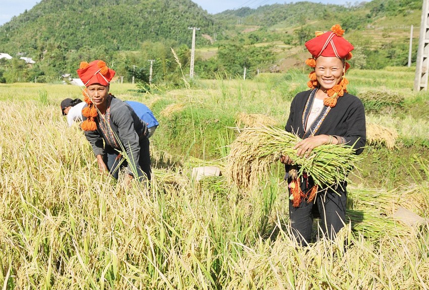 Biến lợi thế tự nhiên thành đòn bẩy xây dựng nông thôn mới bền vững