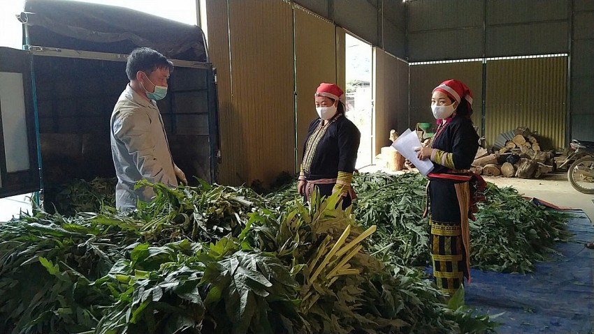 Biến lợi thế tự nhiên thành đòn bẩy xây dựng nông thôn mới bền vững