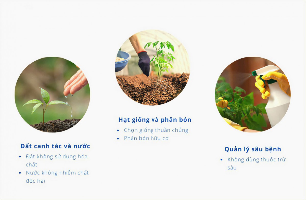 Nông nghiệp hữu cơ qua thời 