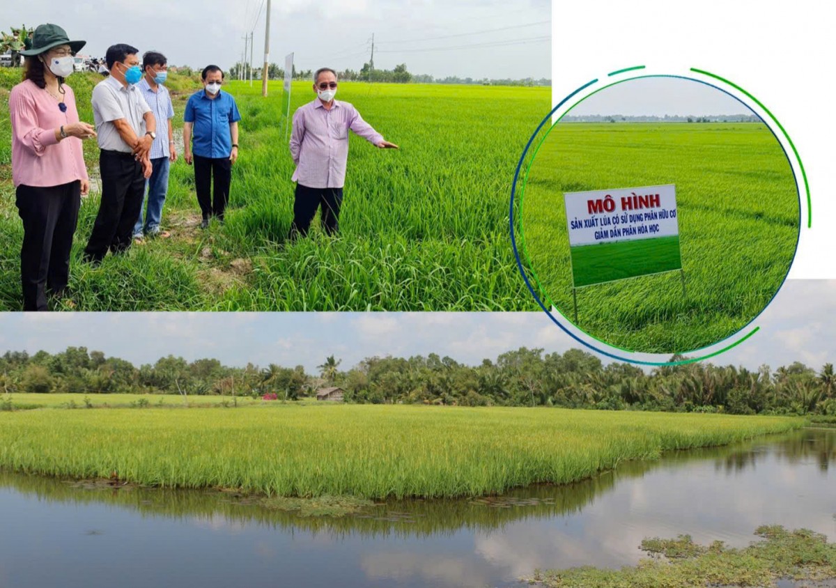 Nông nghiệp hữu cơ qua thời 