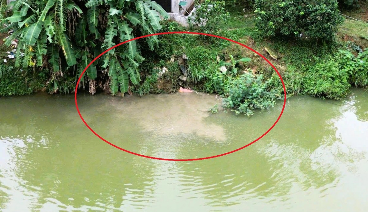 Xả nước thải chưa khử trùng, Công ty CP PT Công nghiệp xanh bị phạt 370 triệu đồng