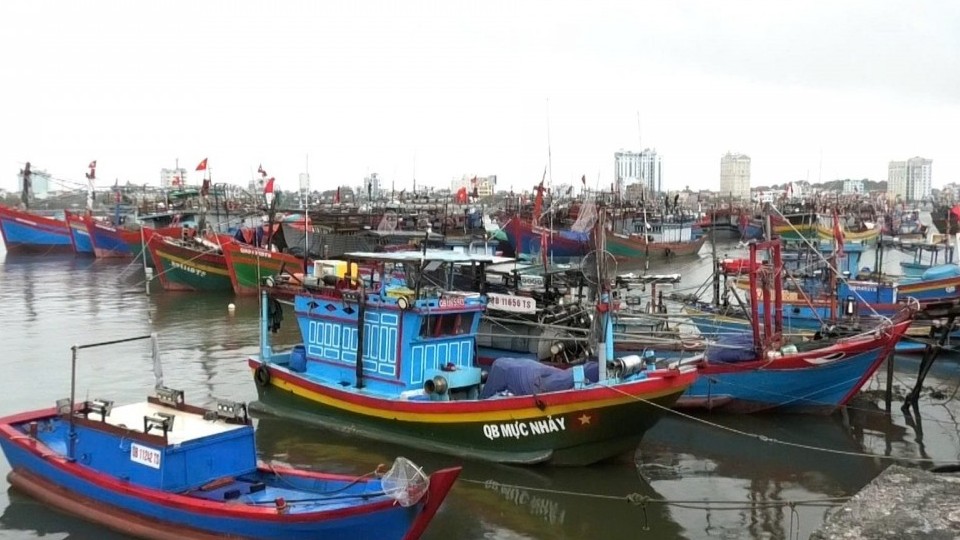 Quảng Trị: Tăng cường công tác kiểm tra, kiểm soát, xử lý các hoạt động khai thác IUU