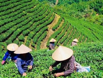 Ứng dụng công nghệ cao gắn với bảo vệ môi trường phát triển kinh tế nông nghiệp bền vững